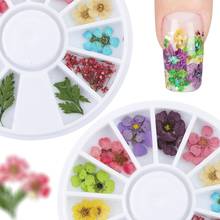 36 Pcs 3D Nail Art DIY Tips Sticker Dried Flower Acrylic Decoration Wheel Box 2024 - buy cheap