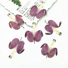 60pcs Pressed Dried Purple Flower Plant Herbarium For Make up Jewelry Postcard Bookmark Phone Nail art Case DIY 2024 - buy cheap