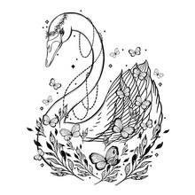 AZSG Beautiful Swan Transparent Clear Stamps For DIY Scrapbooking / Card Making / Album Decorative Rubber Stamp Crafts 2024 - buy cheap
