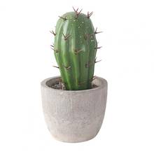 Adorno de Cactus para decoración del hogar, molde de gran oferta para exhibición de figuras de Cactus de oficina, Cemento Artificial de simulación para escritorio, 80% 2024 - compra barato