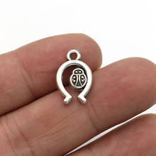 JAKONGO Antique Silver Plated Horseshoe ladybug Charms Pendants for Jewelry Making DIY Handmade Craft 17x12mm 2024 - buy cheap