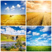 Laeacco Autumn Farm Field Hay Rolls Photography Backgrounds Blue Sky Scenic Mountain Plants Photographic Backdrops Photo Studio 2024 - buy cheap