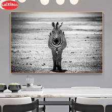 5D DIY Diamond Embroidery Black and white animal art, zebra Picture Of Diamond Painting Cross Stitch Mosaic New Arrival Wall Art 2024 - buy cheap