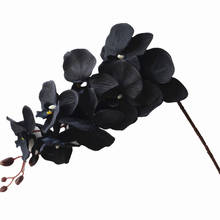 Orquídeas de polilla negra de seda, 6 uds., Phalaenopsis, flor de Orquídea, cabezas de gran tamaño para decoración de boda, flores artificiales 2024 - compra barato