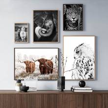 Pintura sobre lienzo para decoración del hogar, pósteres e impresiones de Jaguar, vaca, lindo Animal de Alpaca, color blanco y negro, nórdico, para guardería, sala de estar 2024 - compra barato