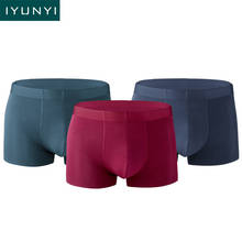 IYUNYI Men Underwear Boxer Shorts High Quality Modal Breathable Male Panties Comfortable Soft Underpants Sexy Bikini Boxers 2024 - buy cheap