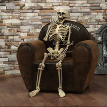 40 см Хэллоуин магазин украшения дома реквизит всего человеческого тела скелета модель Комиссии человеческого анатомического анатомический скелет 2024 - купить недорого
