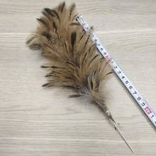 Wholesale 1pcs Beautiful 18-25 CM/7-10 Inches Natural Pheasant Feather Wedding Party Headdress Hats DIY jewelry decoration 2024 - buy cheap