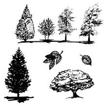 Прозрачные штампы AZSG с различными деревьями/листьями для самостоятельного изготовления декоративных открыток для скрапбукинга 2024 - купить недорого