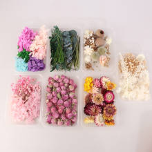 1 Box Real Dried Flower Dry Plants For Aromatherapy Candle Epoxy Resin Pendant DIY Accessories Handmade Toys 2024 - buy cheap