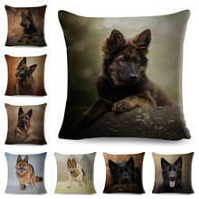Capa de almofada para cachorro-alemão, capa de travesseiro em poliéster, para decoração de animais de estimação 2024 - compre barato