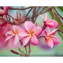 Frangipani-pintura por números de flores, lienzo de pintura al óleo para sala de estar, arte de pared, diseño del hogar, Decoración, regalo 2024 - compra barato