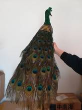 Pavão bela vida real modelo espuma & pena pescoço verde presente de boneca de pavão cerca de 80cm xf2647 2024 - compre barato