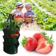Garden Strawberry PE Hanging Grow Planting Bag Plant Root Pot Pouch Container 2024 - buy cheap