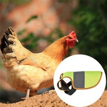 Pet Reflective Vest Chicken Clothes Poultry Hen Saddle Apron Feather Protection Holder For Chicken And Duck 2024 - buy cheap