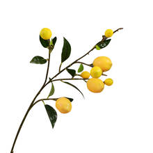 Simulación de planta verde, flor de fruta Artificial, simulación de limón, rama de árbol de fruta para mesa del hogar, decoración artesanal 2024 - compra barato
