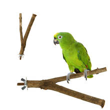15 см маленький необработанный деревянный питомец попугай Стенд стойка игрушка Y Форма ветка попугай Попугайчик подвесная игрушка для птичьей клетки 2024 - купить недорого
