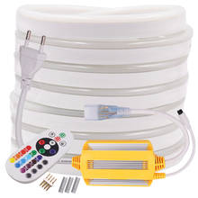 Tira de luces LED con Control remoto, cinta Flexible de neón de 220V, RGB, 5050, resistente al agua IP67, para decoración del hogar 2024 - compra barato