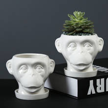 Vaso de cerâmica para flores macaco, 2 peças, vasos para plantas suculentas, mini bonsai, recipientes para decoração de mesa de jardim doméstico 2024 - compre barato