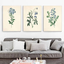 Impresiones botánicas azules, arte de flores vintage, cabaña, flores victorianas, pintura en lienzo, imágenes artísticas de pared para decoración de sala de estar 2024 - compra barato