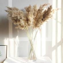 Flores secas de hierba de caña para decoración del hogar, ramo de flores de boda, Pampas naturales, 55cm de altura, 10 Uds. 2024 - compra barato