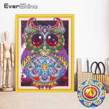 EverShine DIY 5D Special Shape Diamond Painting Owl Picture Rhinestones Diamond Embroidery Animal Cross Stitch Diamond Mosaic 2024 - buy cheap