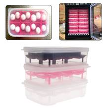 Reptile Egg Incubator 14 Slots Professional Transparent Cover For Lizard Snake Gecko Eggs Hatcher Hatching Box Case Tray Plastic 2024 - buy cheap