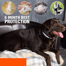 Collar antipulgas para mascotas, protección contra pulgas, mosquitos, escorpiones, plagas, cuidado de la salud 2024 - compra barato