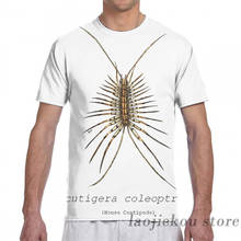 Scutigera coleoptrata (house centipede) men T-Shirt women all over print fashion girl t shirt boy tops tees Short Sleeve tshirts 2024 - buy cheap