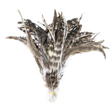 50 pçs penas de galinha natural tricô de alta qualidade pena 25-30cm penas longas estágio traje casamento galo plumas artesanato 2024 - compre barato