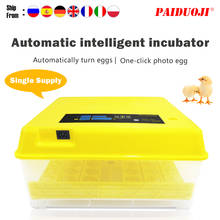 HT-96/48 Automatic Eggs Incubator DIY Constant Temperature Eggs Incubation Box Accessories Egg Incubator Controller Accessories 2024 - buy cheap