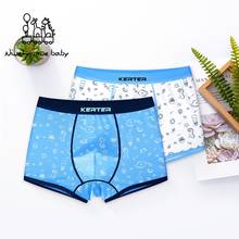 2 Piece Kids Boys Underwear Cartoon Children's Shorts Triangle Brief for Baby Boy Boxers Cartoon Print Teenager Underpants 5-14T 2024 - buy cheap