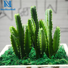 NuoNuoWell Artificial Plant Lifelike Cactus Plastic Mini Bonsai Succulent Plants Green DIY Home Decor 2024 - buy cheap