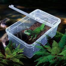 Transparent Feeding Box Reptile Box Amphibian for Snake Cage Lizard Spider Reptile Combination 2024 - buy cheap