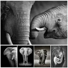 5D Full Diamond Embroidery Black And White Animals Cross Stitch Diamond Painting Animal Elephant Mosaic Handmade Decor Gift 2024 - buy cheap