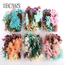 IBOWS-caja de flores secas reales, Plantas secas para aromaterapia, vela de resina epoxi, colgante, collar, fabricación de joyas, accesorio artesanal 2024 - compra barato