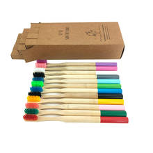 Escovas de dentes naturais com cerdas de bambu biodegradáveis, ecológicas, arco-íris, cabo sólido, 12 peças 2024 - compre barato