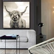 Черный и белый нагорье корова КРС стены холст искусство скандинавские картины постер и печать скандинавские стены картина для гостиной 2024 - купить недорого