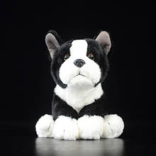 Perro bulldog francés blanco y negro para niños, juguetes de peluche para cachorros, regalo para bebés, animales de peluche bonitos, suave y cómoda almohada, muñecas de simulación 2024 - compra barato