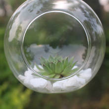 Прозрачная стеклянная ваза для цветочных растений, подвесной контейнер для террариума, семейный Свадебный горшок для дома и сада, Круглый круглый шар # AB 2024 - купить недорого