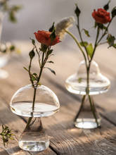 Маленькие вазы японский домашний декор прозрачная стеклянная ваза гидропонный цветок Террариум Скандинавское украшение для дома ваза для цветов ВАСО 2024 - купить недорого