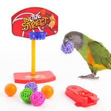 Puzzel-Mini aro de baloncesto para pájaros, juguetes interactivos para loros, herramientas de plástico para pájaros, accesorios de entrenamiento para mascotas pequeñas 2024 - compra barato