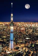 JMINE Div 5D Токийский ночной город Луна полностью Алмазная краска наборы для вышивки крестиком Высококачественная живописная 3D краска алмазами 2024 - купить недорого