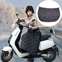 Зимняя накидка на ножки скутера, ветрозащитное непромокаемое теплое защитное одеяло, фартук, одеяло на колено для езды на мотоцикле, универсальное уличное покрывало 2020 N 2024 - купить недорого