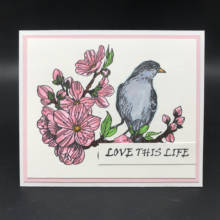 Azsg pássaro flor clara selos para diy scrapbooking cartão decorativo que faz artesanato diversão decoração suprimentos 13*13cm 2024 - compre barato