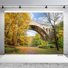Outono pedra arco ponte fotográfico backdrops vinil pano fotografia fundos para crianças retrato animais de estimação photo studio 2024 - compre barato