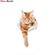 Three Ratels FTC-1054 Climbing Ginger Cat Wall Decals Orange  Toilet Sticker 3D  Car Window And Bumper  2024 - buy cheap