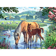 Kexinzu pintura completa quadrada/redonda 5d, faça você mesmo, pintura de diamante, "animal, cavalo", bordado, ponto cruz, 5d, decoração de casa, presente, y6466 2024 - compre barato