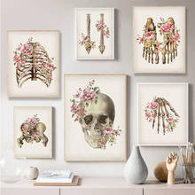 5D diamond painting floral skeleton anatomy poster diamond embroidery skull spine medical cross stitch kit mosaic home decoratio 2024 - buy cheap