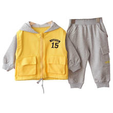 New Spring Autumn Baby Girl Clothes Children Boys Cotton Hooded Jacket Pants 2Pcs/sets Toddler Fashion Clothing Kids Tracksuits 2024 - buy cheap